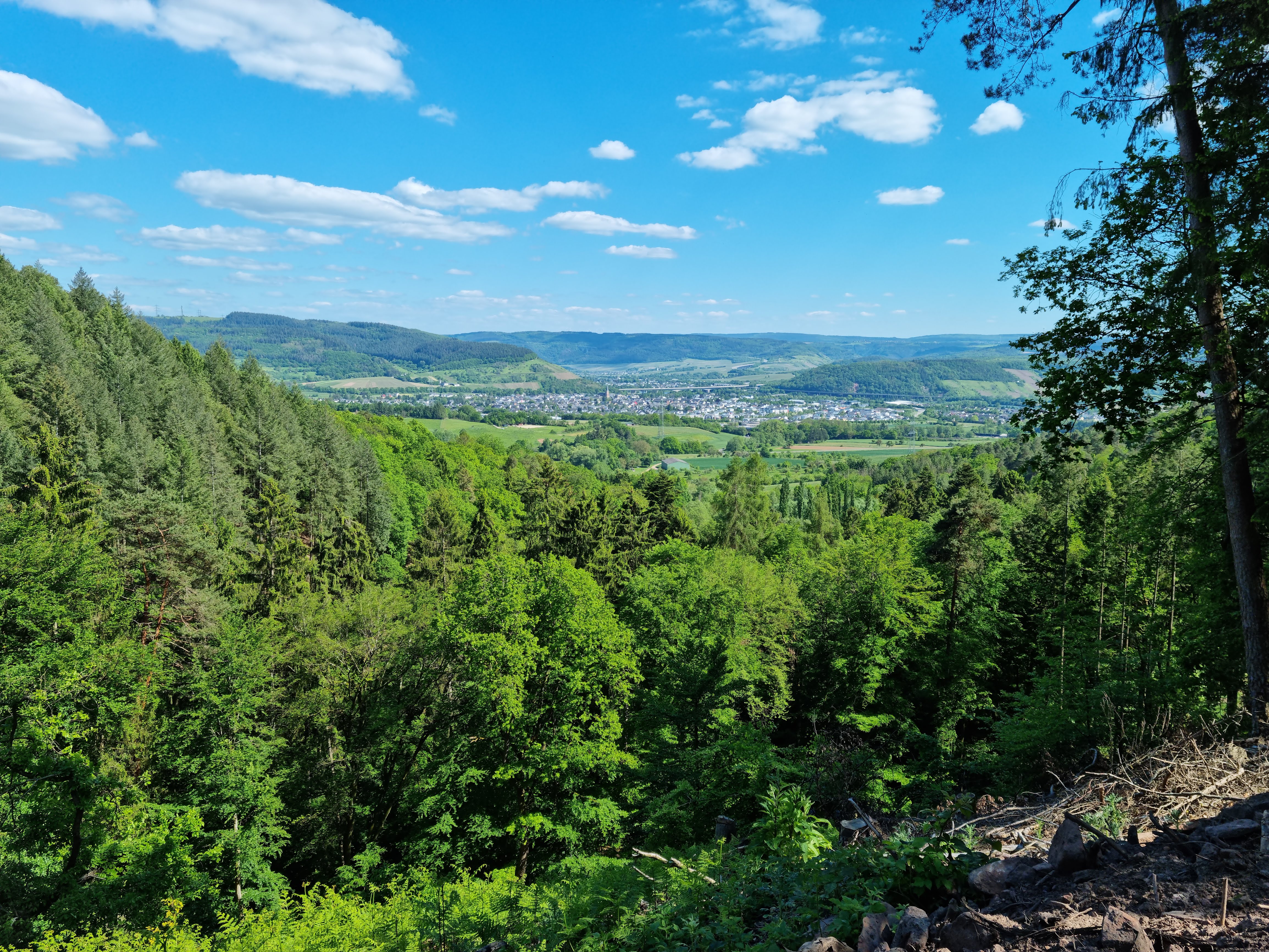 Ausblick vom Meulenwald-Moselblick auf Schweich (Foto: CDU Schweich)
